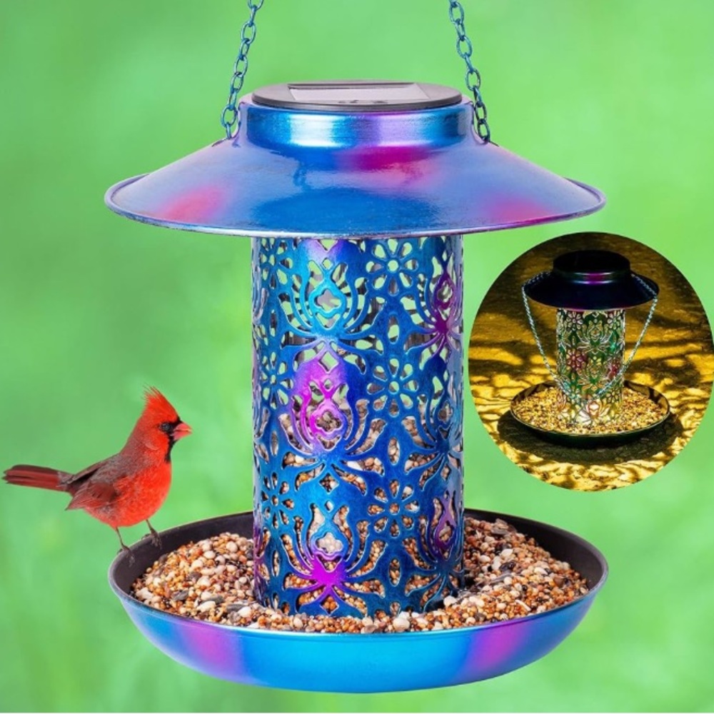 Solar-Powered Blue Bird Feeder